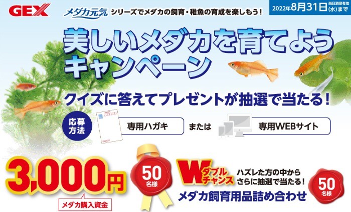 美しいメダカを育てようキャンペーン 熱帯魚 観賞魚 アクアリウム用品 ジェックス株式会社