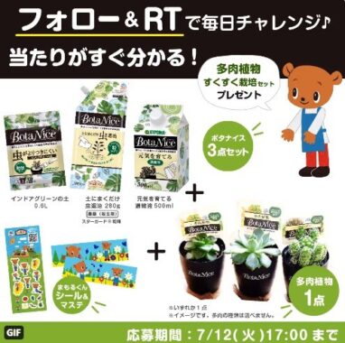 多肉植物すくすく栽培セットプレゼントキャンペーン