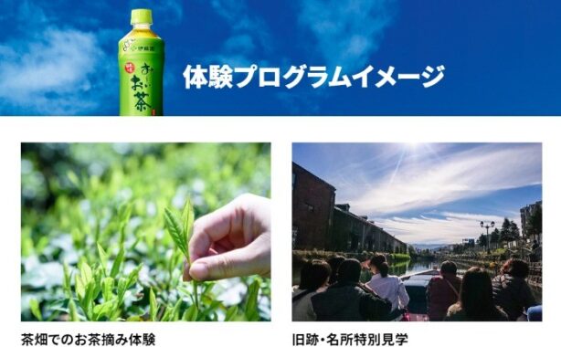 伊藤園｜お～いお茶 |「本物のおいしさ大冒険」キャンペーン公式サイト