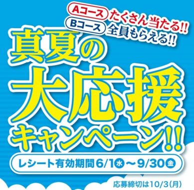 絶対おトクな！真夏の大応援キャンペーン！！ | お知らせ | 神仏用ローソク・お線香の『カメヤマローソク』