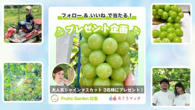 完熟シャインマスカット