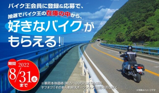 100万円以下のお好きなバイク
