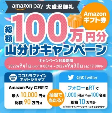 総額100万円分 Amazonギフト券 山分けキャンペーン