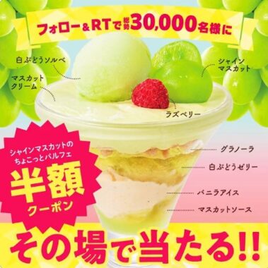 シャインマスカット 🍇✨ ✨🉐 半額クーポンを当てよう