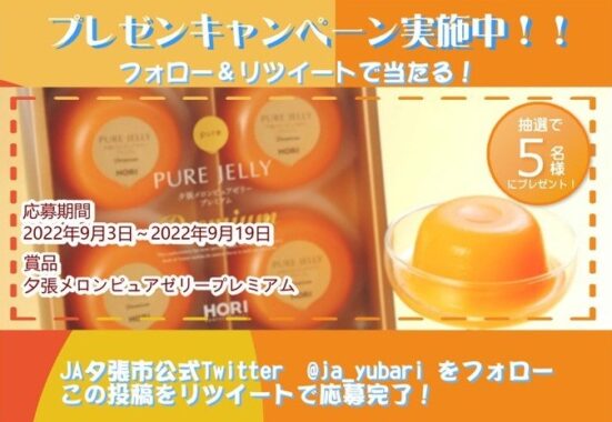夕張メロンピュアゼリープレミアム