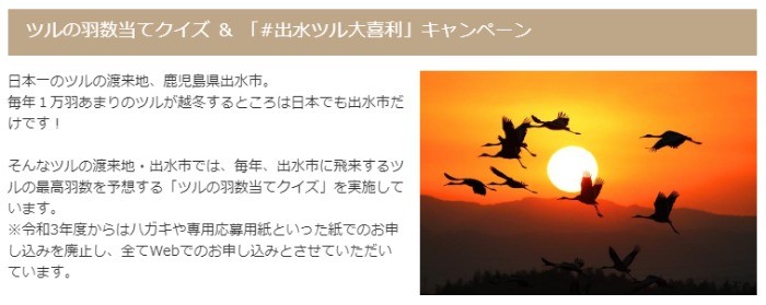 鹿児島県出水市のツルの飛来数予想や大喜利に挑戦するキャンペーン♪