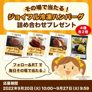 ジョイフル冷凍ハンバーグ詰め合わせプレゼント