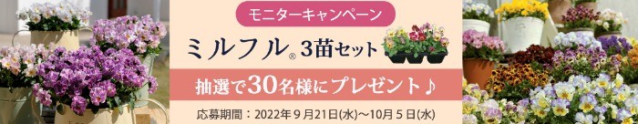 ミルフル モニターキャンペーン｜みんなのサントリーフラワーズ