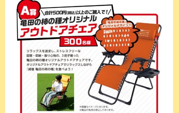 専門店では懸賞当選品 イラストレーターのりたけ トートバッグ 亀田柿