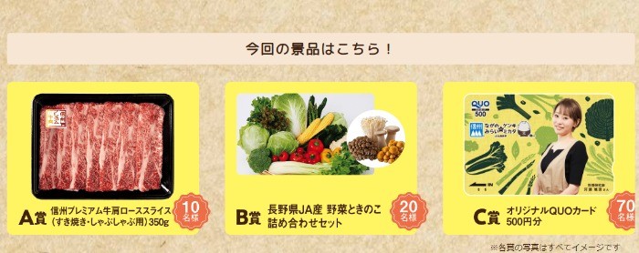 長野県産野菜 採れたて出荷キャンペーン第1弾 | JA全農長野