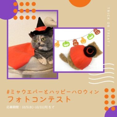 手づくりハロウィン衣装の写真を投稿するフォトコンテスト☆