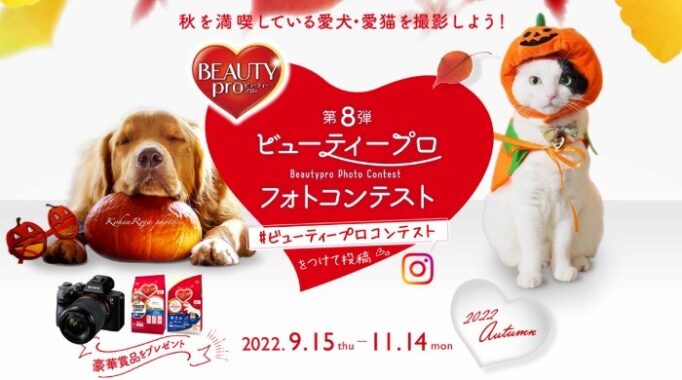 秋を満喫している愛犬・愛猫を撮影しよう！第8弾ビューティーフォトコンテスト 2022｜日本ペットフード