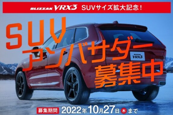 BLIZZAK VRX3（4本）
