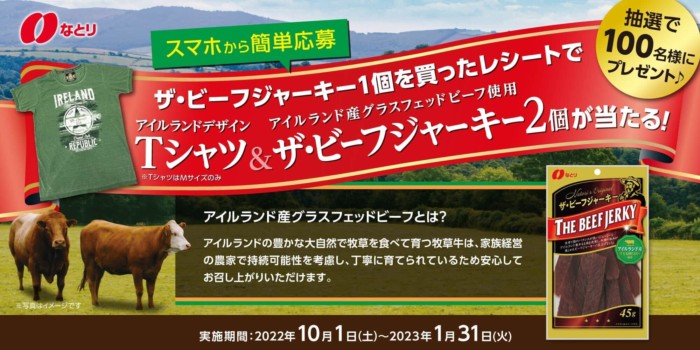 ザ・ビーフジャーキー プレゼントキャンペーン|おつまみのなとり