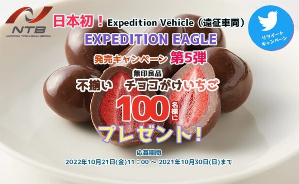 使い方無限大の新型キャンピングカー 【EXPEDITION EAGLE】 #キャンぺーン