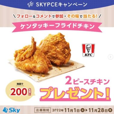 SKYPCEキャンペーン