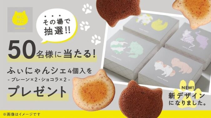 ふぃにゃんシェ4個入 プレゼントキャンペーン