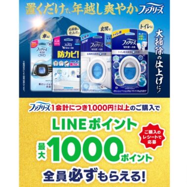 LINEポイントが必ずもらえる、P＆Gのレシートキャンペーン！｜懸賞主婦