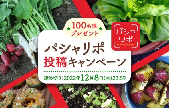 秋冬野菜をもっと楽しもう！“パシャリポ”投稿キャンペーン