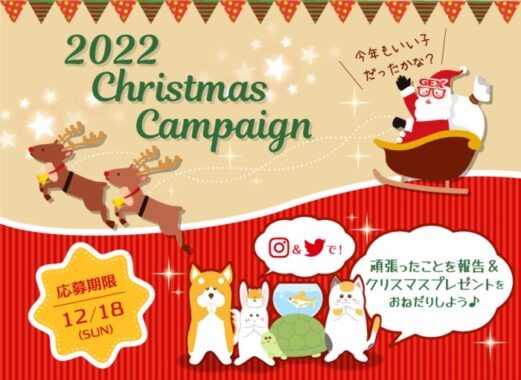 GEX サンタにおねだり！2022クリスマスキャンペーン 観賞魚 小動物 犬 猫 爬虫類 ペット用品 ジェックス株式会社