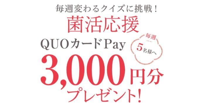 3,000円分のQUOカードPayが当たるクイズキャンペーン！