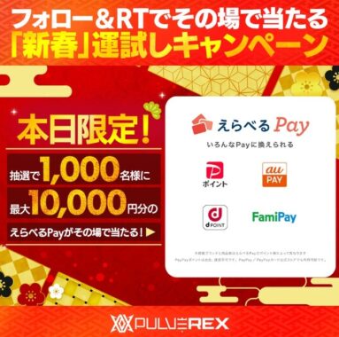 【1日限定】最大1万円分のえらべるPayが1,000名様に当たる運試し懸賞♪