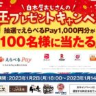 えらべるPay1,000円分がその場で当たるお年玉キャンペーン！
