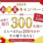 毎日300名様にその場でえらべるPayが当たるお年玉キャンペーン！