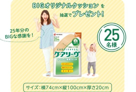 ケアリーヴオリジナルBIGクッションが当たるアンケートキャンペーン！