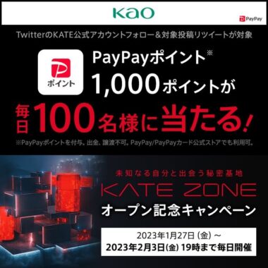 毎日100名様にPayPayポイントがその場で当たるTwitterキャンペーン！