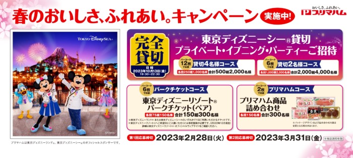 ワンスアッポンアタイム 当選券 TDR - その他