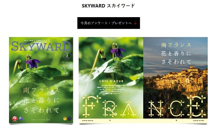 JAL機内誌「Sky Word」Perfume特集 JAL機内誌「Sky Word」Perfume特集 - メルカリ