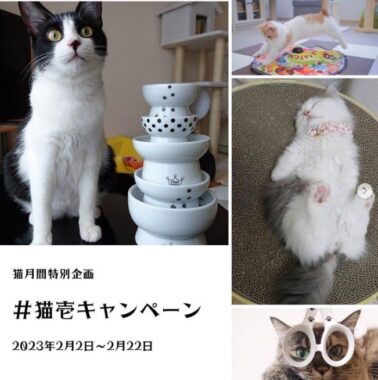 猫との暮らしをより豊かにする「猫壱」商品当たる写真投稿キャンペーン♪