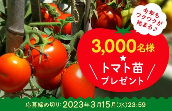3,000名様に選べるトマト苗が当たるカゴメのプレゼントキャンペーン！