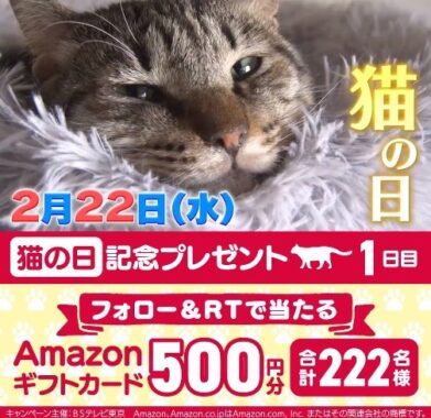 222名様に500円分のAmazonギフトカードがその場で当たるキャンペーン！