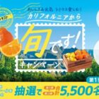 Wチャンスもアリ！サンキストオリジナルグッズが当たる大量当選懸賞！