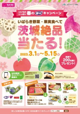 茨城県の名産品が当たる豪華クローズドキャンペーン！｜懸賞主婦