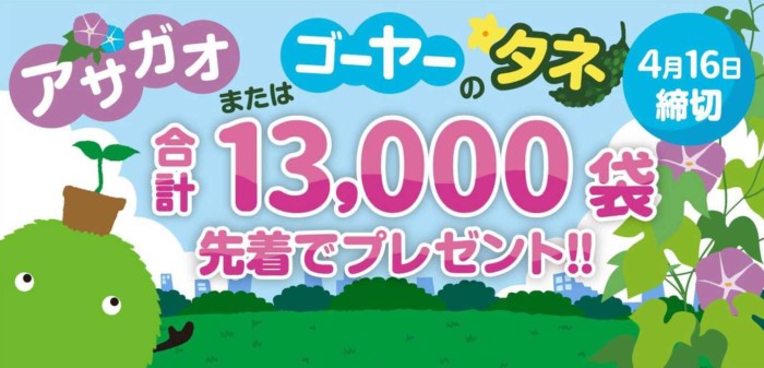 先着当選！ゴーヤorアサガオのタネが当たる大量当選懸賞♪