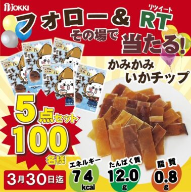 だんどり～にゃが目印のいかチップがその場で当たるキャンペーン！