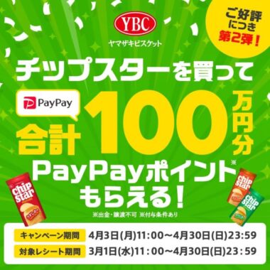 PayPayポイントがその場で当たる大量当選玲レシート懸賞！