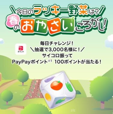 3,000名様にPayPayポイントがその場で当たるキャンペーン！