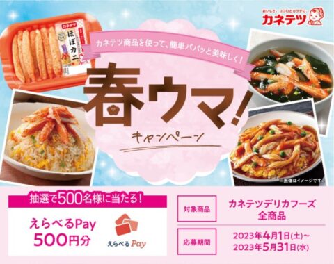 500名様にえらべるPay500円分が当たるレシートキャンペーン！