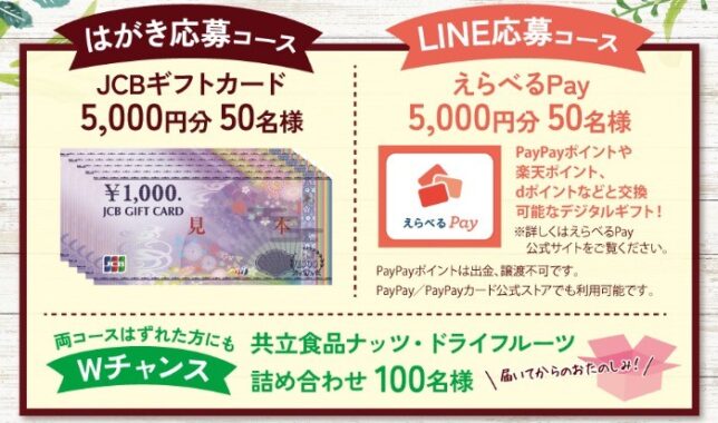 5,000円分のギフトカードやえらべるPayが当たるレシート懸賞！