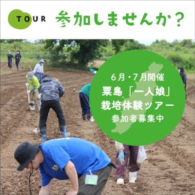 新潟県粟島で開催の栽培体験ツアーが当たる特別なキャンペーン！