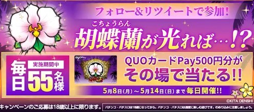 毎日55名様にQUOカードPay500円分が当たるTwitterキャンペーン！