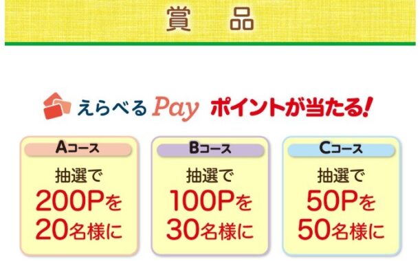 100名様にえらべるPayが当たるレシートキャンペーン！