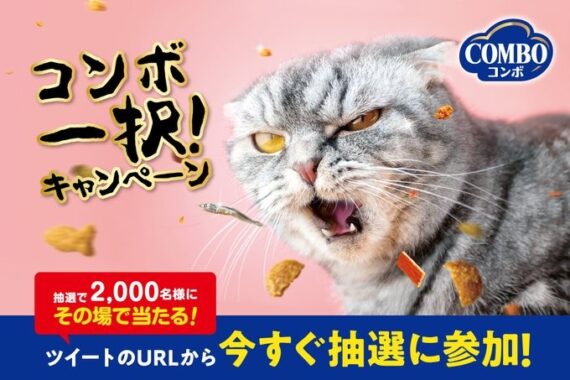 キャットフードのお試しサイズが当たるキャンペーン！