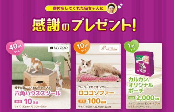 猫ちゃんにピッタリなアイテムが当たるレシートキャンペーン！