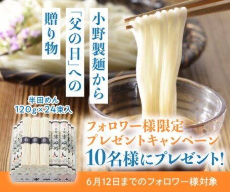 徳島県の特産品「手延半田めん」が当たる、父の日懸賞☆