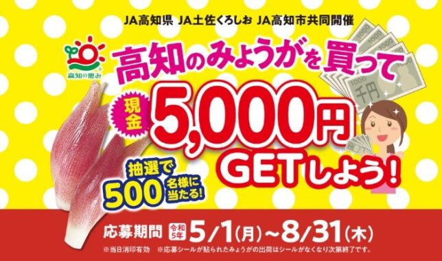 現金5,000円が当たる豪華クローズドキャンペーン！